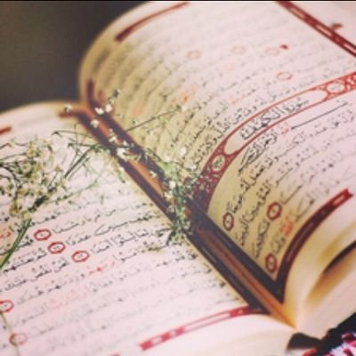 l_ajlkma's profile picture. صدقه لامي و ابي .