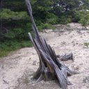 Jay Borden - @bordenjd - Twitter