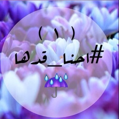 مين انتو ؟ حوائيات نسعى للخير - أمنيتكم؟ نختم القران -كم إجمالي مراحلكم ؟ ٢٠ - الأولى؟ حفظ سورة البقرة -والأخيرة ؟حفظ جزء عمّ (حاليًا؟ بالمرحلة الأولى ، نستقبل)