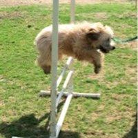 Aaron Lasker (@frodog1) 's Twitter Profile