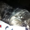 makinzee jade tucker - @makinzee7 - Twitter