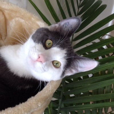 FirstOfJuly's profile picture. 