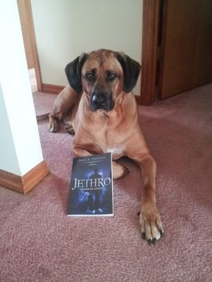 Jethro Guardian Angel..Please help me spread the word about my 1st Novel..follow Jethro and Ziva on their adventures