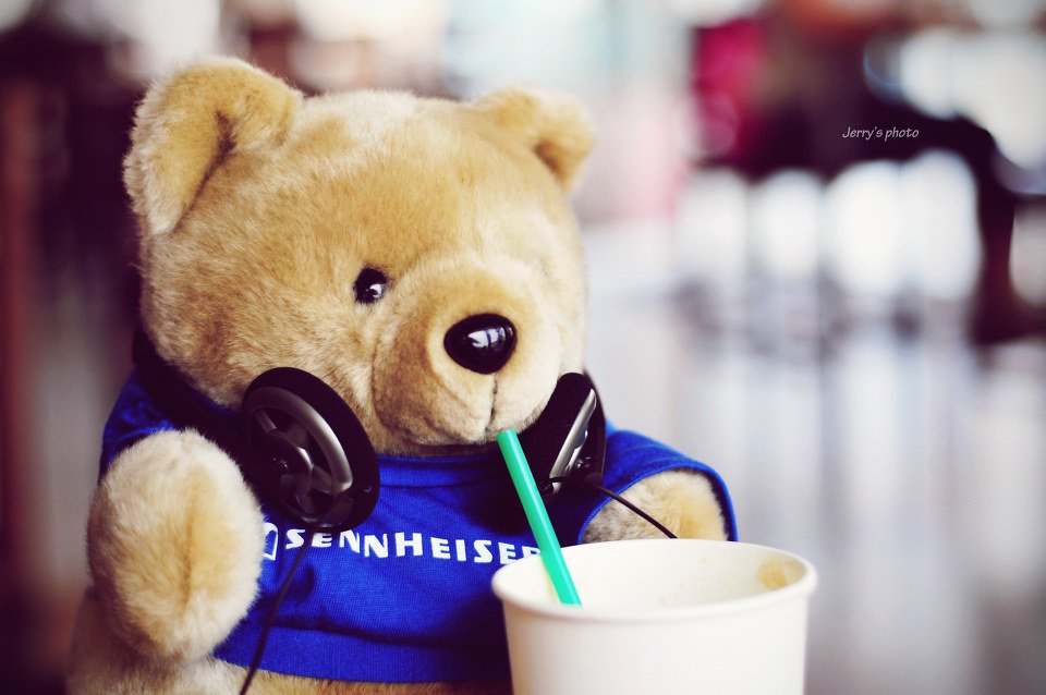 LK99_KR's profile picture. May I meet you?