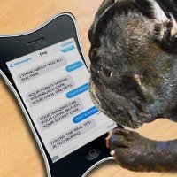 Texts From My Dog (@mydogstext) 's Twitter Profile