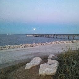 UhYesSheDid's profile picture. A moral compass can point you in the right direction, but It can't make you go there.