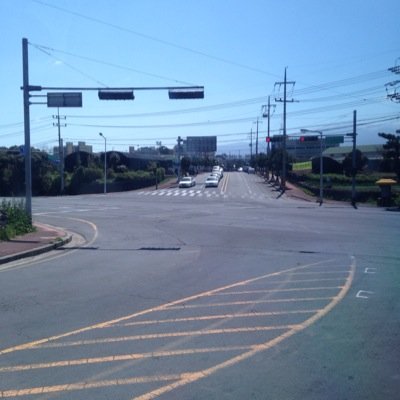 tiger_miao's profile picture. 