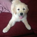 Laura Iannuzzi - @ANNUZZI - Twitter