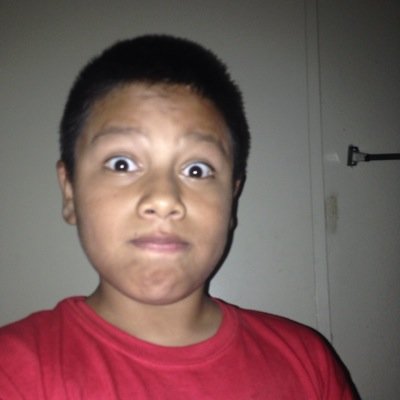 Things I cant live without: Drawing, Minecraft, Gaming, iPhone, Legos, And the Internet.