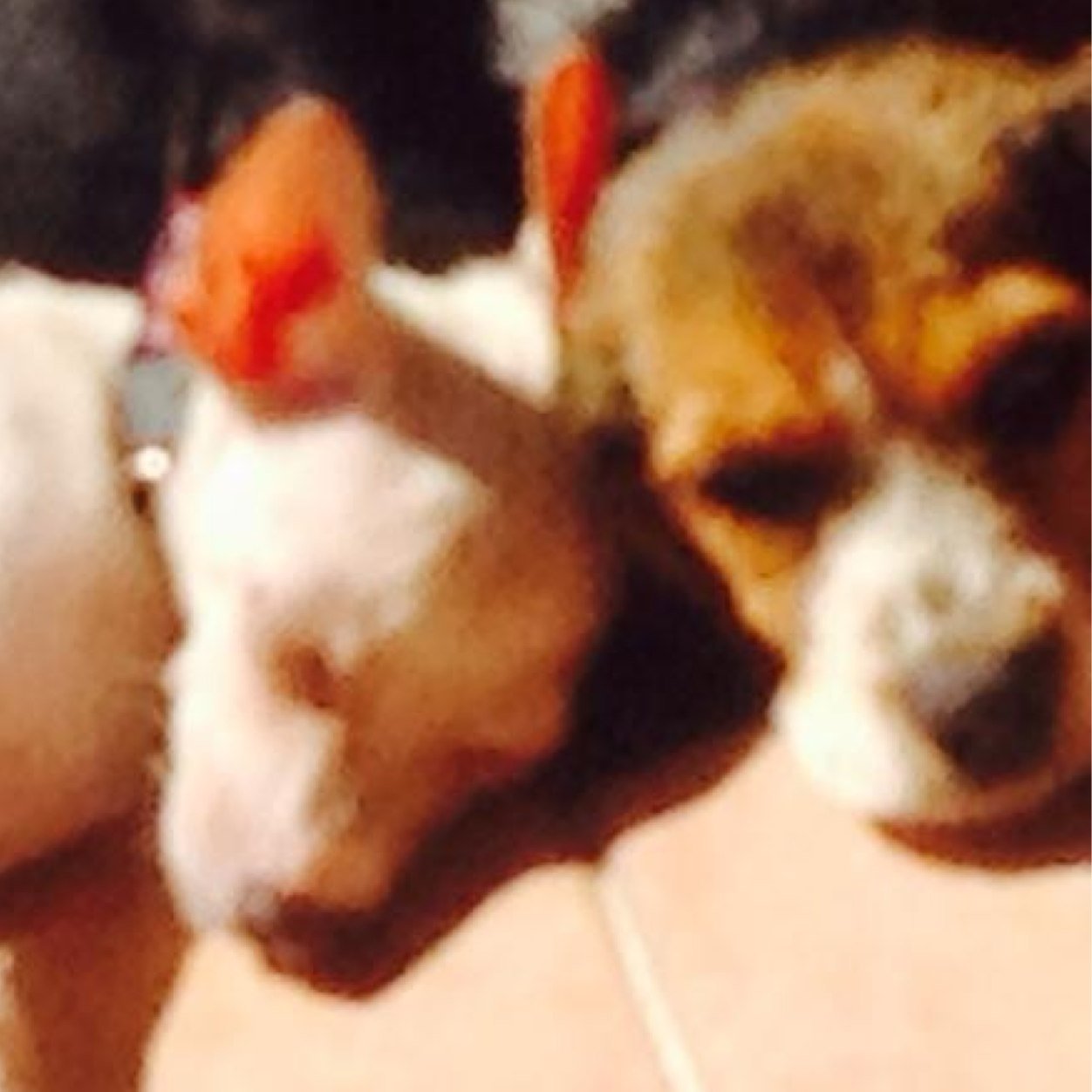 Sofi y Litzy3