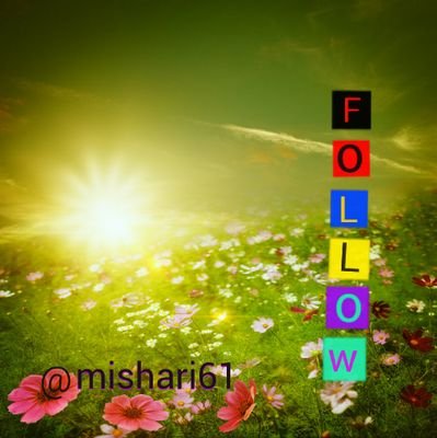 ‏‏‏‏‏‏‏لدعم حسابك برتويت/ أرسل تغردتك في المنشن                                 أبشر بالرتويت/ تابعن واتبعك