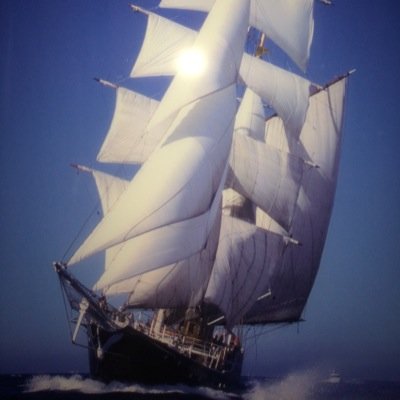 tusu46's profile picture. 