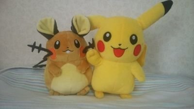 ポケモン、パズドラ、スマブラ、モンハン４Gなど趣味が合う人は気軽に絡んでください(*´ω｀*)♪カッコいいポケモン好きな大学生です！マルチ誘って下さいd(＞ω＜｡)