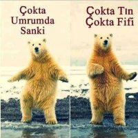 çoktatın (@bahcekapilis_a) 's Twitter Profile