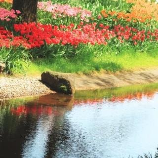 OvernigHfgqasvy's profile picture. 疲れた人には心にしみる風景が癒やしになるはず！そんな、日本の風景を紹介していきたいと思います！月１万のフォロアーと月１万の副収入が入るツイッターのツールを無料でプレゼント中です。下記URLをクリック♪ぜひ、手に入れておいて下さい！