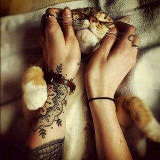 gordagrasosa's profile picture. 