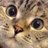 alice_666_remi's profile image