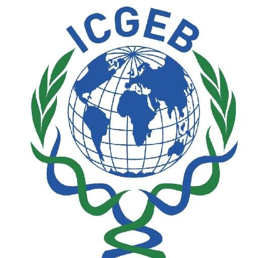 The official Twitter handle of ICGEB New Delhi
Biotechnology Research in Plant Biology, Molecular Medicine and Integrative Biology 
Component of #ICGEB