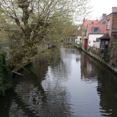 mesferri's profile picture. 