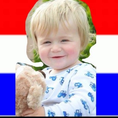 First dutch Theo Horan account! Please help me to get a follow from @theohofficial_ or 1/5 || Ask for a follow ❤️