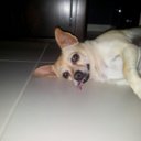 ian gass - @gassyi64 - Twitter