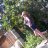 polinateterina1's profile image