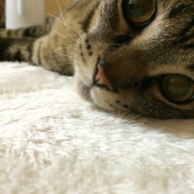 看護師　