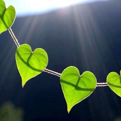 CUsteria's profile picture. 