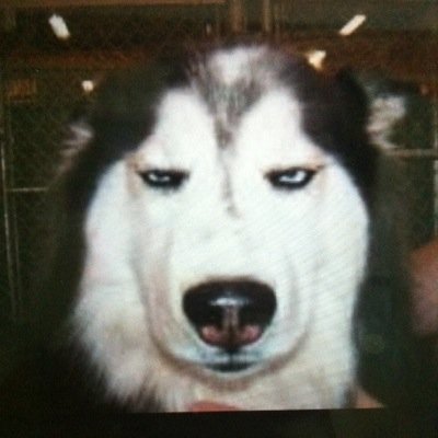 Can_PurePure's profile picture. 