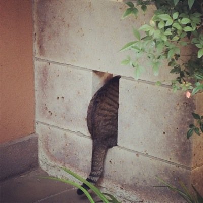 Deepskyblue14's profile picture. Physical Therapist/Master of Health Care Science. I love…running/dancing/cooking/cycling/reading/water skiing/playing & watching football/dyving