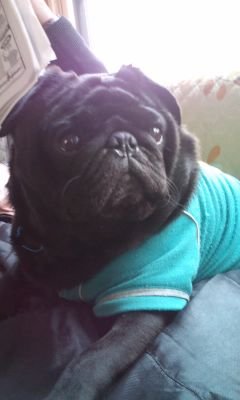 0211e928dea4403's profile picture. どうも～！！よろしくぅ！