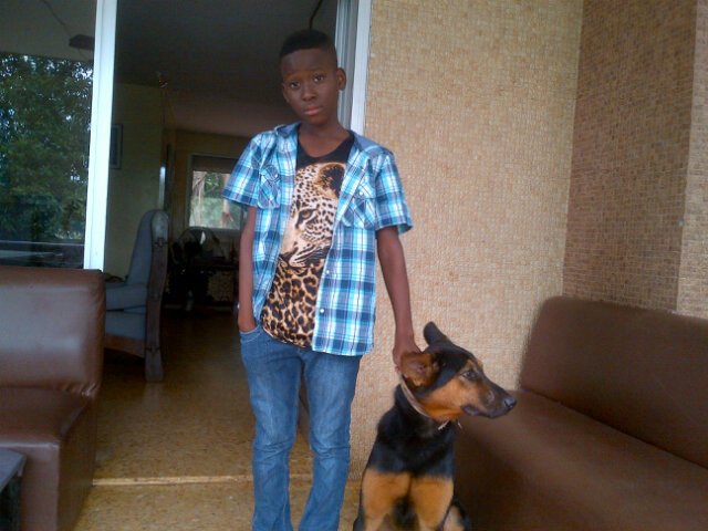 stevenkinda16's profile picture. 