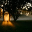 Donna Poch - @DonnaPoch - Twitter