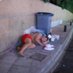 magaluf podrido (@magalufpodrido) Twitter profile photo