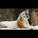 سعود الفقيه (@0555377752) Twitter