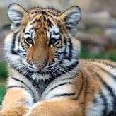 pspatil2204's profile picture. 