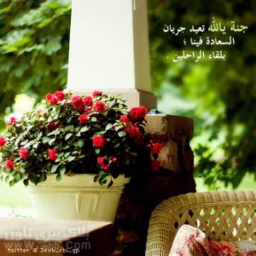 Sultan_123321_4 Profile Picture