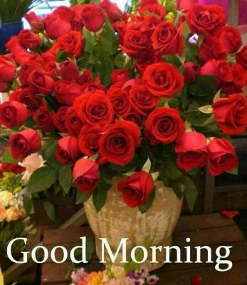 helo frnds my new tv sryl&movie casting started send me yr letst pics&prfile.I will give u chance frshrs are wlcm.whtsup no 8976009895 mumbaimodels01@gmail.com