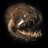 santoslss's profile image