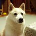 OZ (@ozozbone) Twitter profile photo OZ (@ozozbone) Twitter profile photo