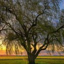 А Б (@0157ca2b9824457) Twitter