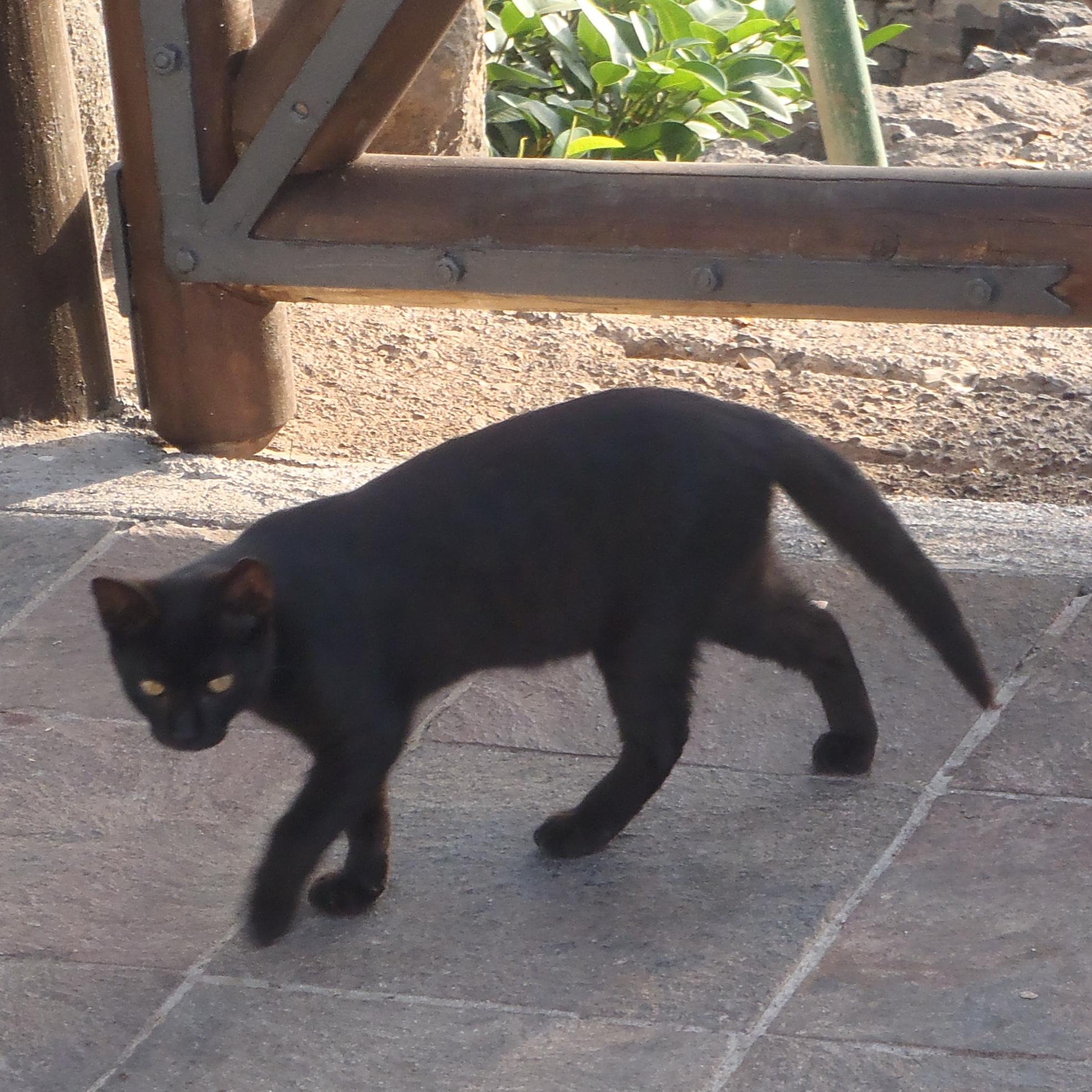 GemMarie99's profile picture. 