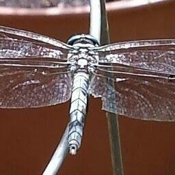 dudek_ginny's profile picture. 