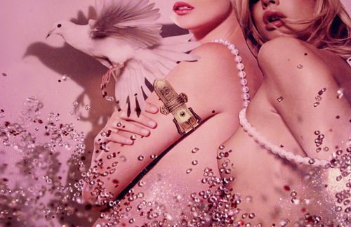 renegadegirls's profile picture. online dating & community for Bi girls & lesbians