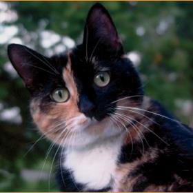 blondon8's profile picture. 