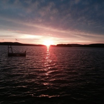 SMcD212's profile picture. 