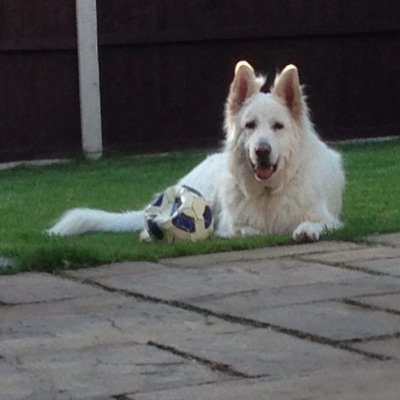 Loubies12's profile picture. 