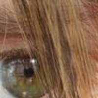 Pava silbadora (@cisnerosadrian3) 's Twitter Profile