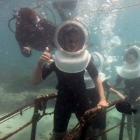 Satrio Dwikusumo (@satridjo) 's Twitter Profile