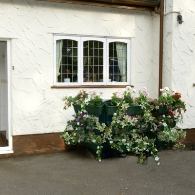 BloomingBins's profile picture. Any home or garden needs enhancement in the area of the family rubbish bins. Blooming bins provide this solution. Please visit http://t.co/4q1ca8ZPS5